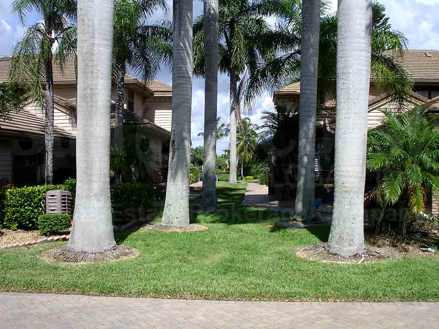 Villas Of Park Shore Palm Trees